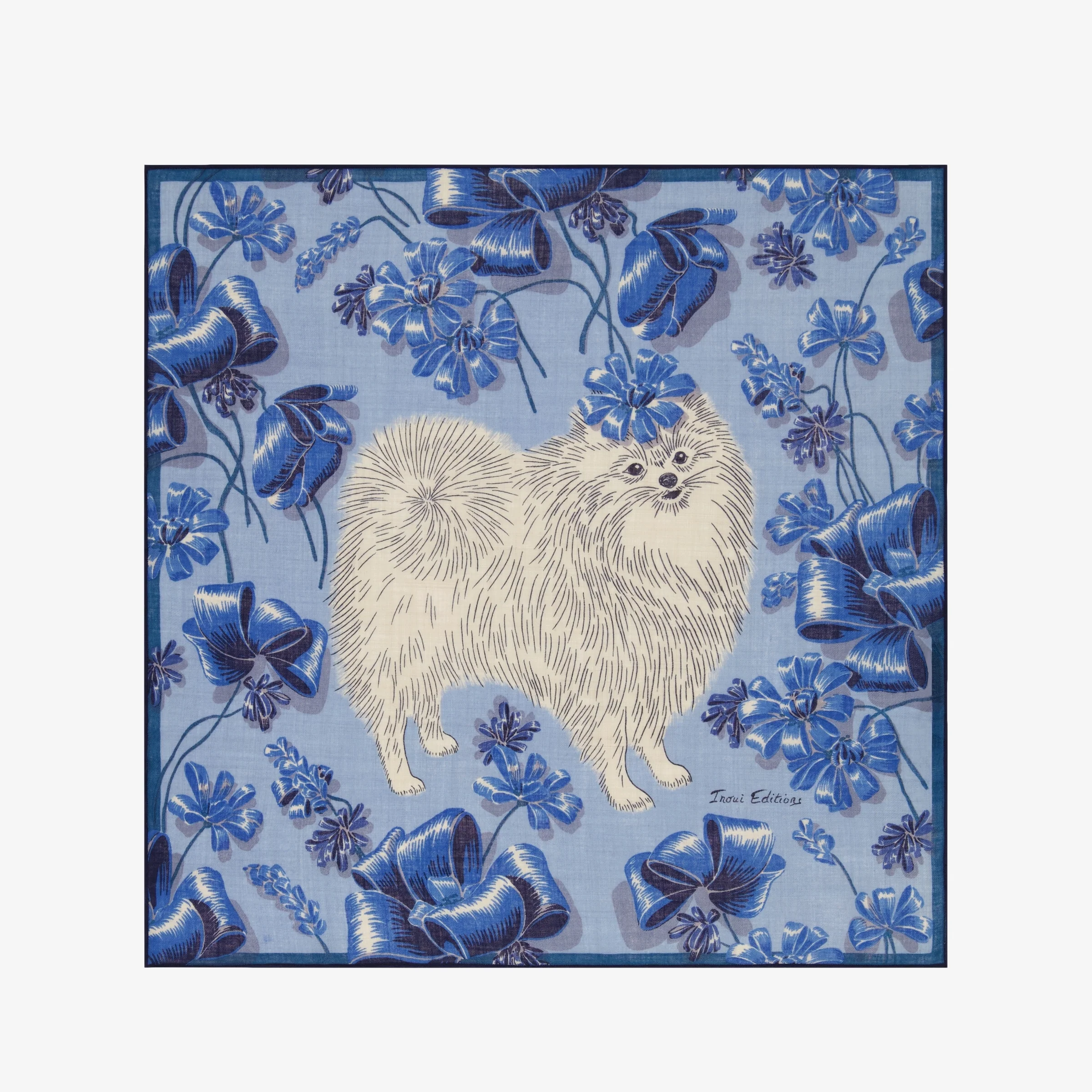 Scarf Ca22tou04 Blue