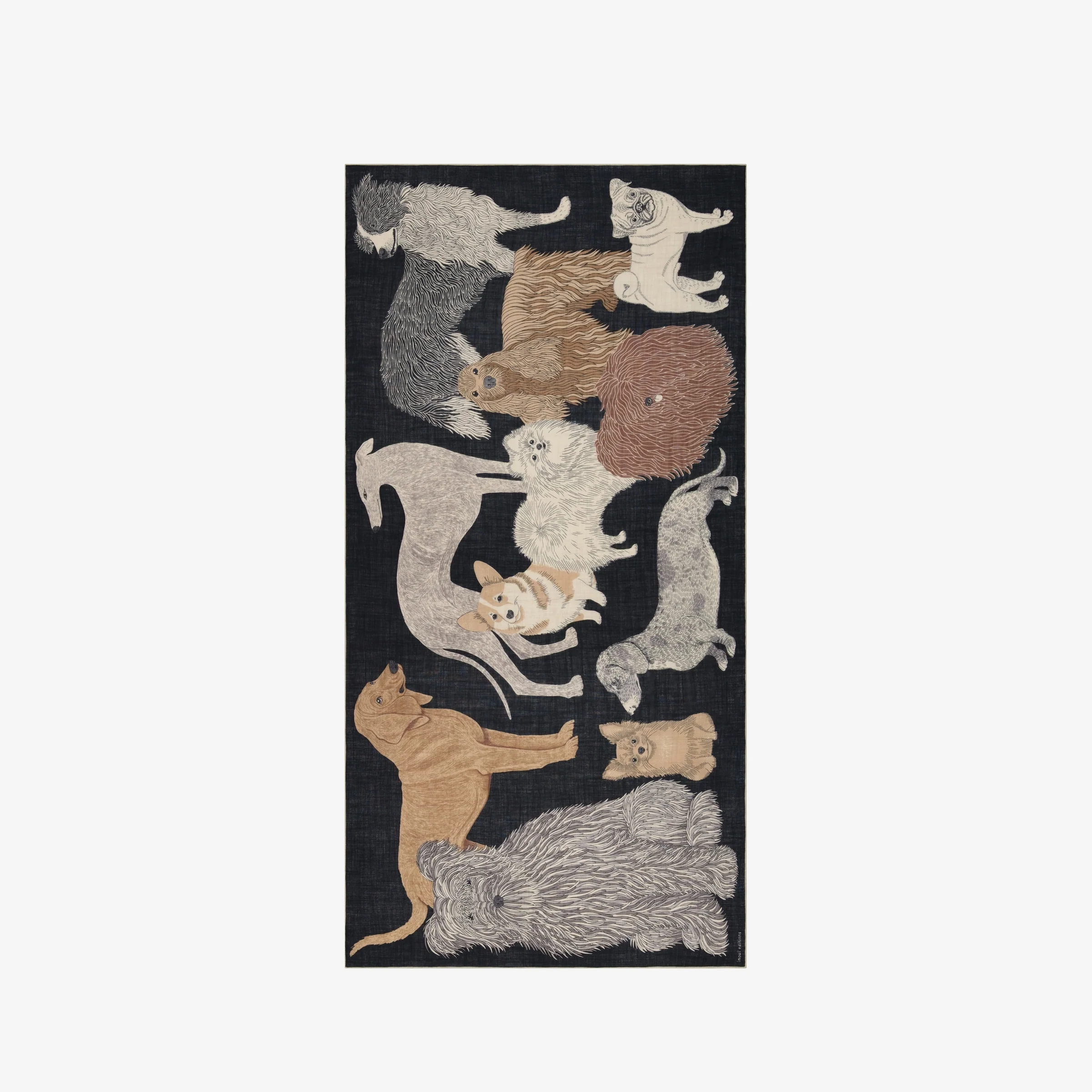 Scarf Et221to01 Black - Image 4